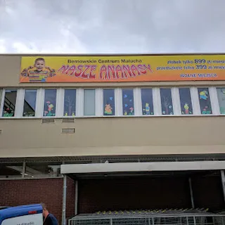 PRZEDSZKOLE PUBLICZNE "NASZE ANANASY" image 1