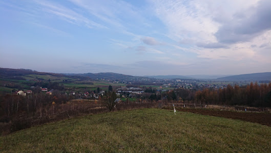 Samorządowe Przedszkole W Przedmieściu Dubieckim - zdjęcie 1