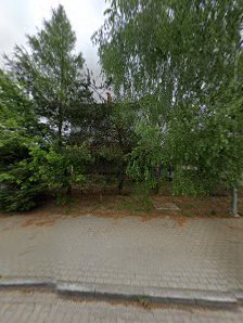 Przedszkole Aktywnej Edukacji Olimpijczyk - zdjęcie 1