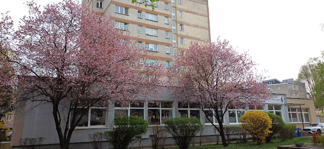 Niepubliczne Przedszkole Specjalistyczne Mądra Sówka - zdjęcie 1