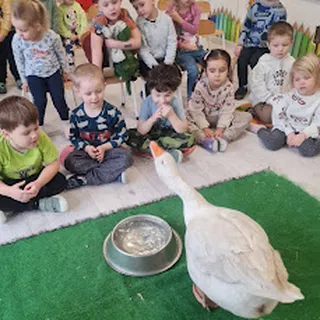 Niepubliczny Klub Dziecięcy Puchatek image 2