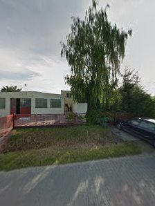 Zielony Groszek - zdjęcie 1