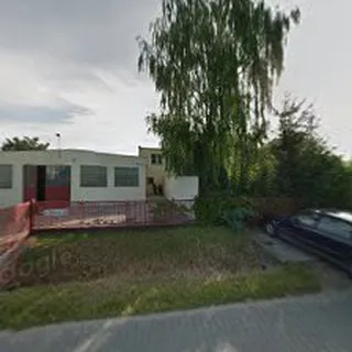 Zielony Groszek image 1