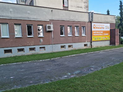 Niepubliczny Żłobek AKADEMIA MALUCHA - zdjęcie 1