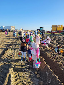 Zielona Żabka - zdjęcie 1