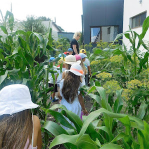 Niepubliczne Przedszkole Lalibu - zdjęcie 1