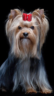 Żłobek niepubliczny  "Chichotki " - zdjęcie 1