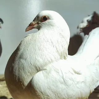 Nowe miejsca opieki żłobkowej w Przeworsku image 3