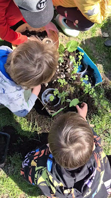 Przedszkole Niepubliczne Akademia Skrzatów - zdjęcie 1
