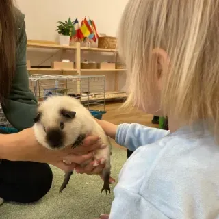 Językowe przedszkole Montessori "Happy Fox" - miniatura 5