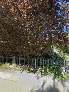 Asy Bobasy - zdjęcie 1