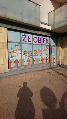 AKADEMIA MALUSZKA ŁÓDŹ WIDZEW - zdjęcie 1