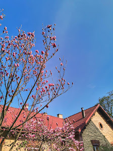 Samorządowe Przedszkole nr 62 - zdjęcie 1