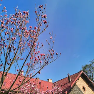 Samorządowe Przedszkole nr 62 image 1