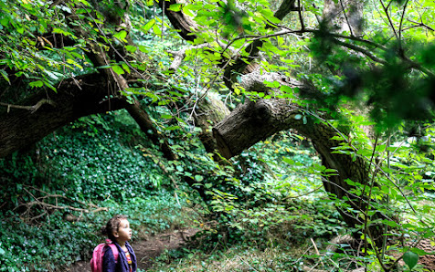 Przedszkole Niepubliczne Leśna Akademia W Wieliczce - zdjęcie 1