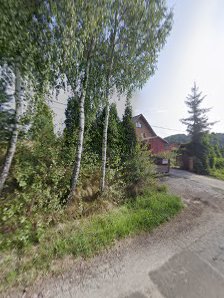 Niepubliczne Przedszkole Zielona Polanka - zdjęcie 1