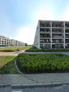 DWUJĘZYCZNE PRZEDSZKOLE KIDS JOY - zdjęcie 1