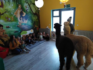 BAJKOLANDIA PAULINA PIETRUS - zdjęcie 1