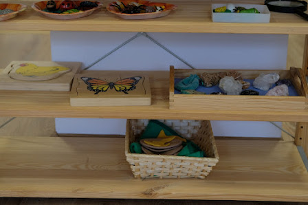 MUZYCZNE PRZEDSZKOLE MONTESSORI "MOCART" - zdjęcie 1