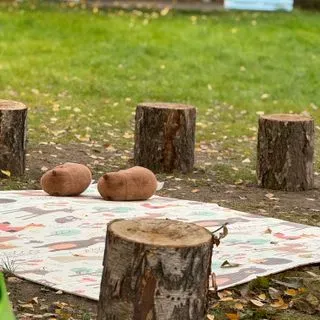 Niepubliczny Żłobek Tajemniczy Ogród Leśne Smyki - miniatura 1