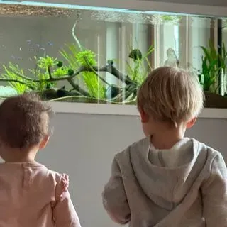 Niepubliczny Żłobek Tajemniczy Ogród Leśne Smyki - miniatura 2