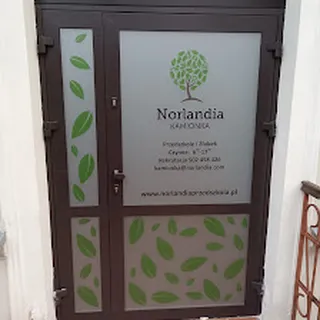 Żłobek Niepubliczny Norlandia image 2