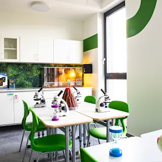 World School  image 1