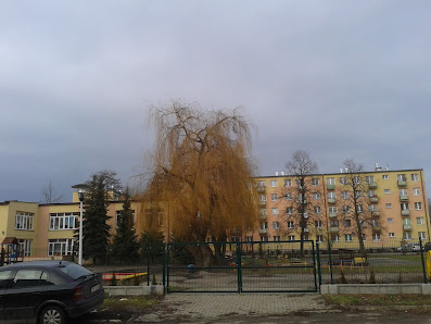 Przedszkole Publiczne Nr 11 Im Marii Kownackiej W Ostrowcu Świętokrzyskim - zdjęcie 1