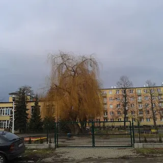 Przedszkole Publiczne Nr 11 Im Marii Kownackiej W Ostrowcu Świętokrzyskim image 1