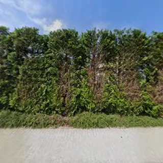 Przedszkole Publiczne W Przybradzu image 1