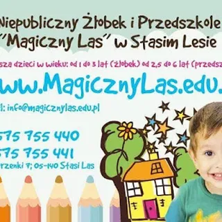 Niepubliczny Żłobek Magiczny Las image 3