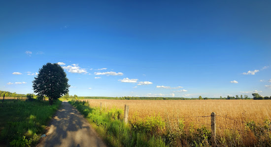 Gminny Żłobek w Dąbkowie Kraina Malucha - zdjęcie 1