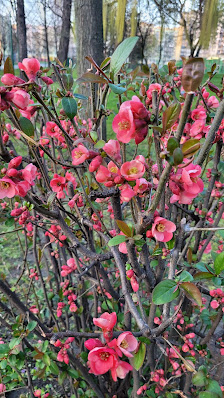 Przedszkole Publiczne Nr 3 - zdjęcie 1