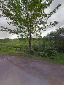 Społeczne Przedszkole Zabrzańskiego Towarzystwa Szkolnego Akademia Przedszkolaka - zdjęcie 1