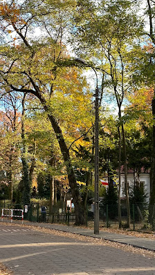 Przedszkole Społeczne Tpissp - zdjęcie 1