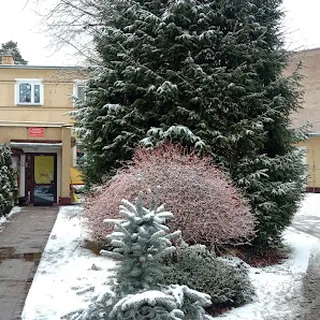 PRZESZKOLE SAMORZĄDOWE NR 1 W PIECHOWICACH image 2