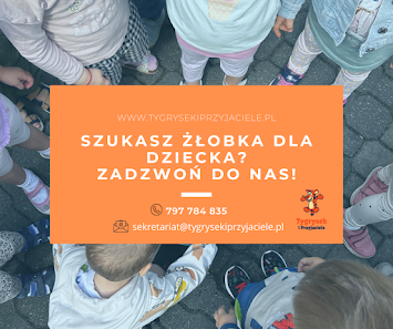 Niepubliczny Żłobek Tygrysek i Przyjaciele Karol Michalski - zdjęcie 1