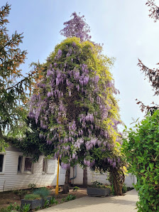Przedszkole Nr 122 Wesoła Gromadka - zdjęcie 1
