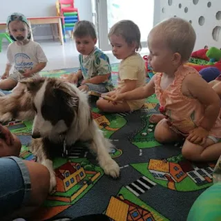 Klub Malucha ,,Zajączki i Spółka" image 2