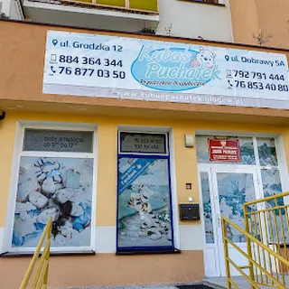 Przedszkole Niepubliczne Kubuś Puchatek image 2