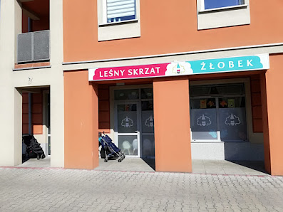 Leśny Skrzat - zdjęcie 1