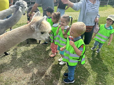 Aktywne Przedszkole Kogut Poznań - zdjęcie 1