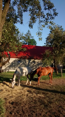 NIEPUBLICZNE PRZEDSZKOLE BAJKOWA POLANKA - zdjęcie 1