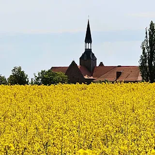 Przedszkole Jarzębinka W Kołbaczu image 1