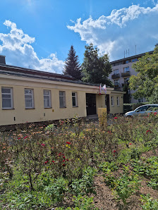 Samorządowe Przedszkole z Oddziałami Integracyjnymi nr 109 - zdjęcie 1