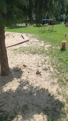 Przedszkole Publiczne Nr 12 W Radomiu - zdjęcie 1