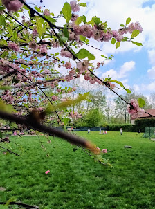 PRZEDSZKOLE NIEPUBLICZNE ,,ŁĄCZKA BĄCZKA" - zdjęcie 1