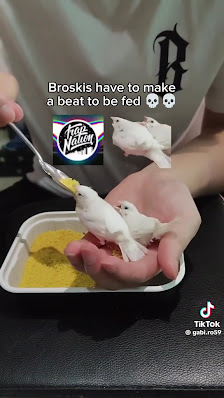 PUBLICZNE PRZEDSZKOLE NR 2 - zdjęcie 1