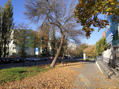 PRZEDSZKOLE NR 313 - zdjęcie 1