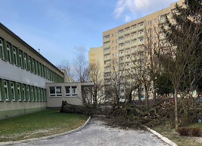 Żłobek Miejski Nr 5 - zdjęcie 1